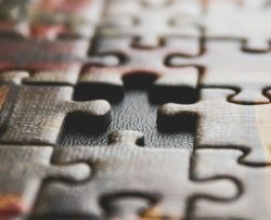 brown and black jigsaw puzzle