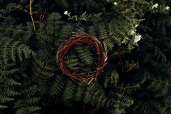 brown and white basket on green leaves